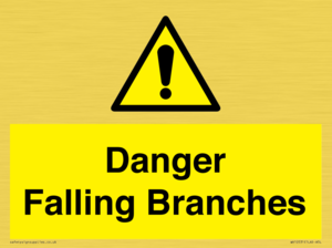 Danger Falling Branches
